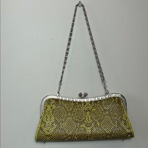 Green and Silver Snake Print Clutch